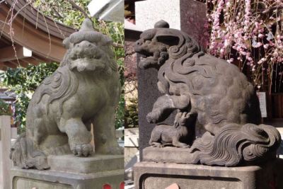         徳川家康の死後、東照宮が建てられ狛犬が奉納されたのがきっかけで江戸市中での狛犬奉<br>
