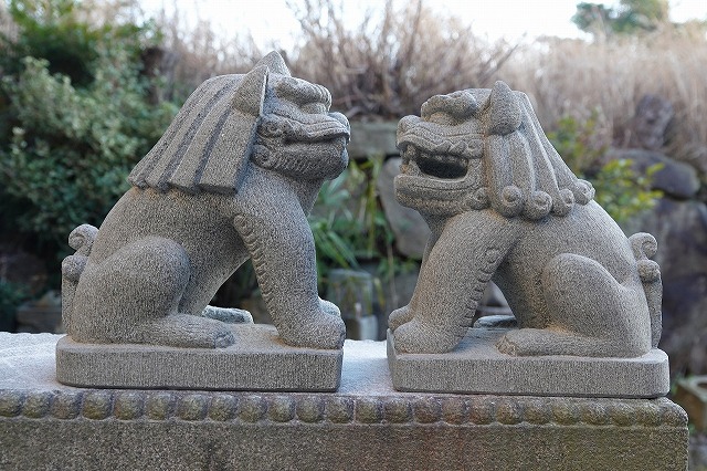 左狛犬『吽』頭上に角