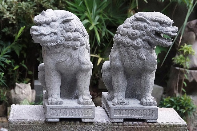 佐吉の顔は扁平なのだ