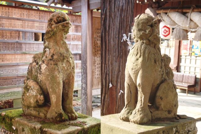 八重垣神社の狛犬が最も古いとされているが、出雲型の特徴は出ていない