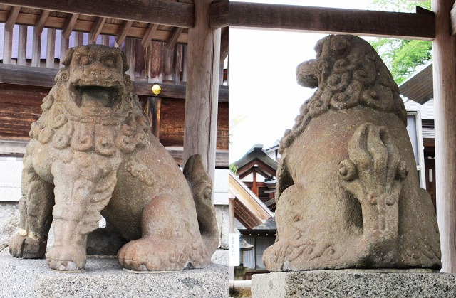 京都府宮津市　<b>籠神社</b>　重要文化財狛犬　建て年号不明(桃山時代頃)