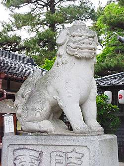 <b>明治三十六年</b>　<B>菅生神社(岡崎市)</B>　作者不明、岡崎城近くの神社、石は硬い石で彫ってあり古い狛犬には見え<br>ない